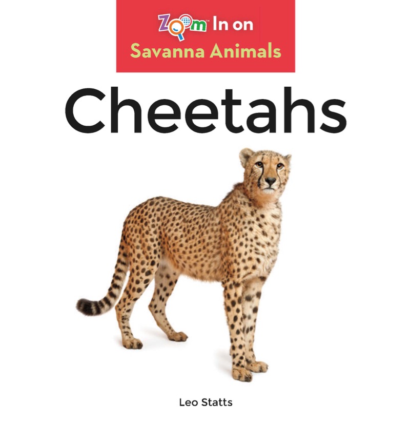 Cheetahs book cover