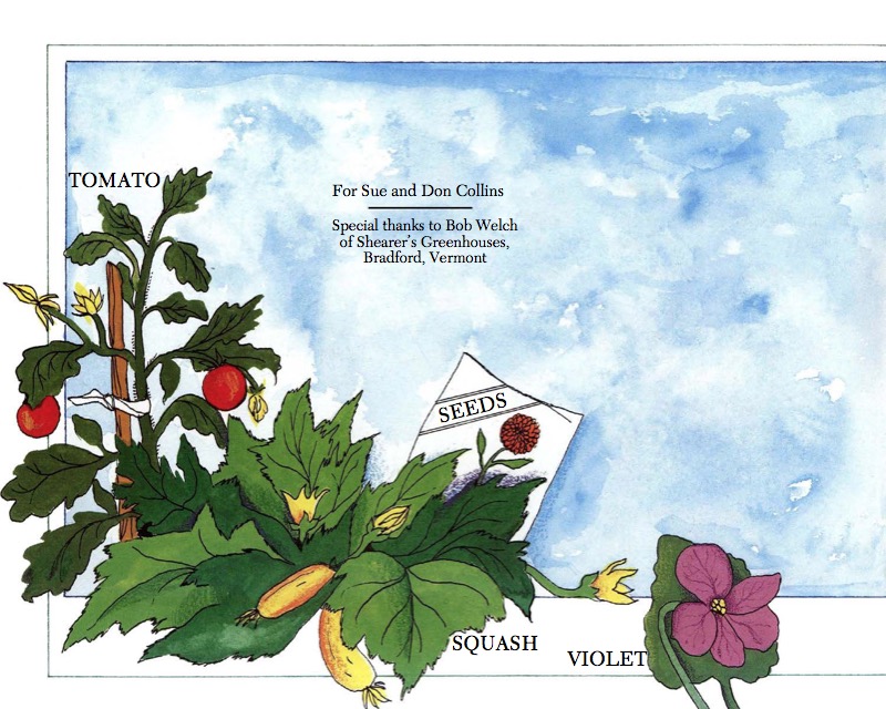 From Seed to Plant — page 1