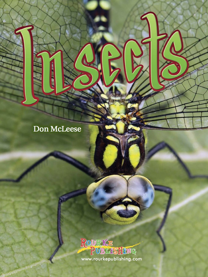 Insects (E2E) book cover
