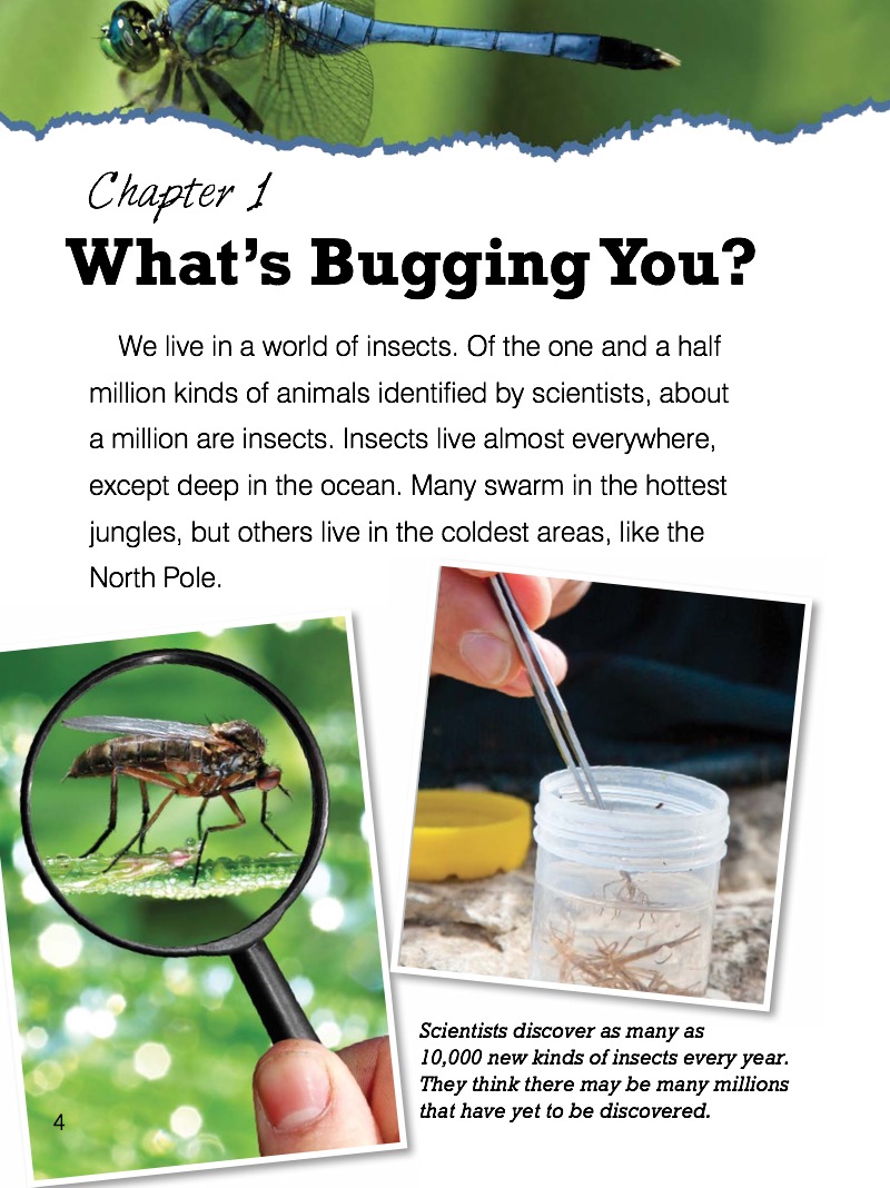 Insects (E2E) — page 1