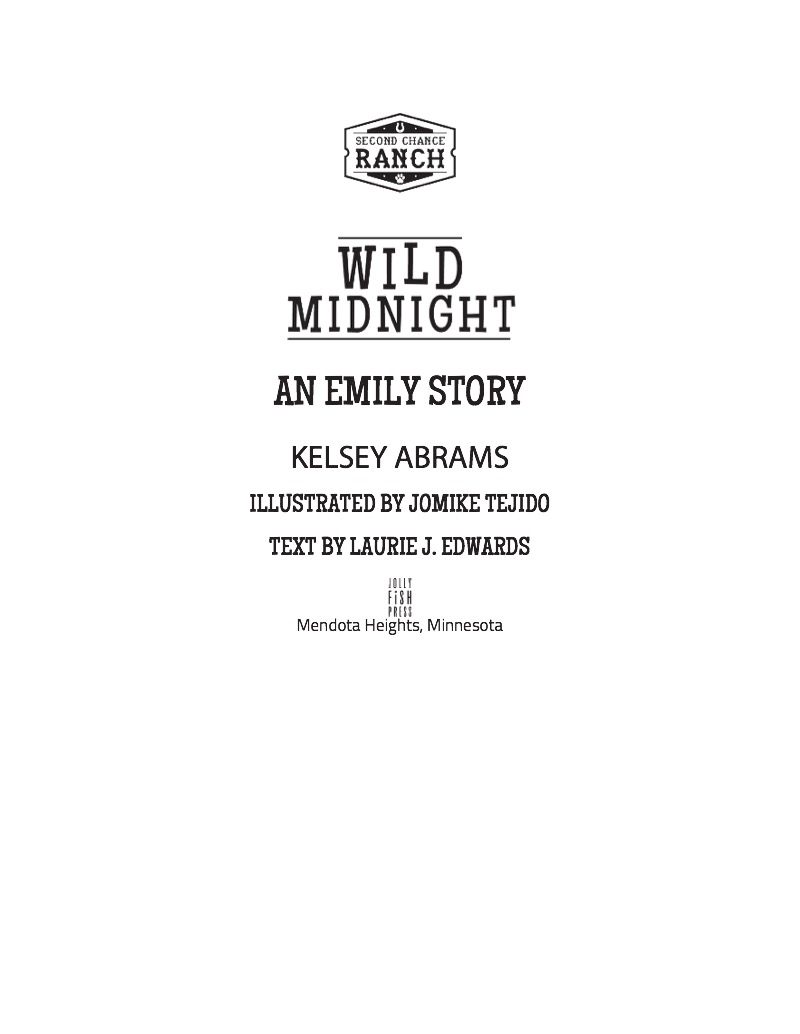 Wild Midnight: An Emily Story book cover