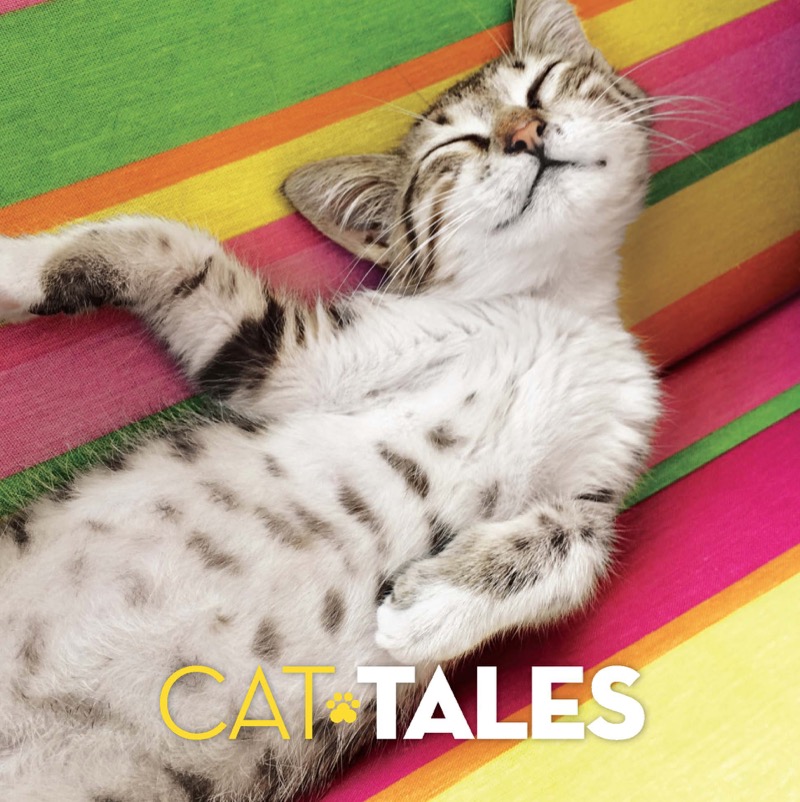 Cat Tales: True Stories of Kindness and Companionship With Kitties book cover