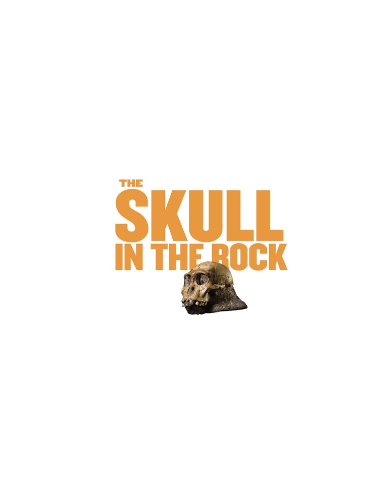 The Skull in the Rock book cover