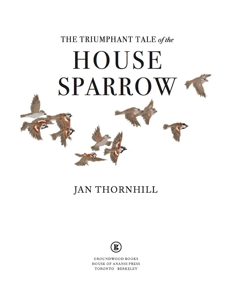 The Triumphant Tale of the House Sparrow book cover
