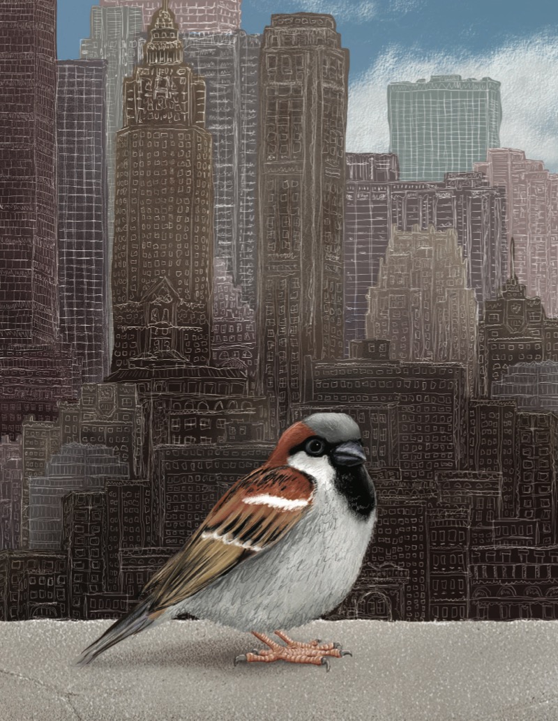 The Triumphant Tale of the House Sparrow — page 1
