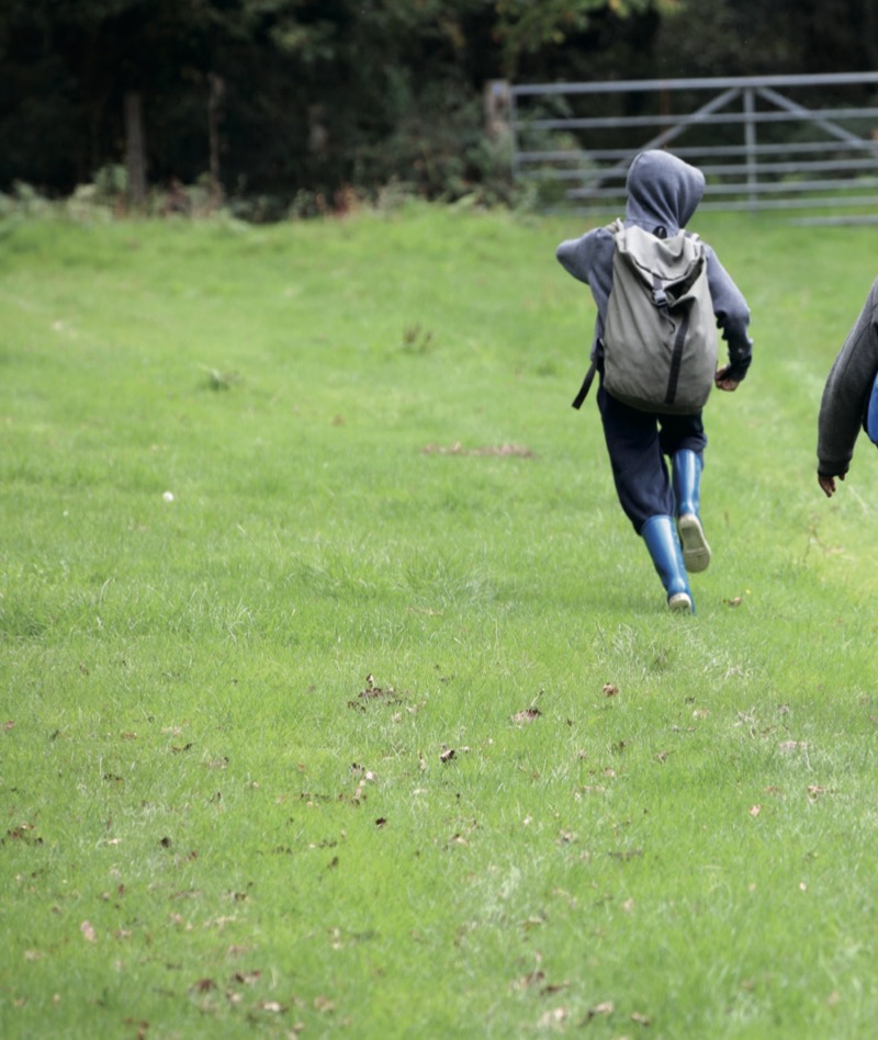 Going Wild: Helping Nature Thrive in Cities — page 1