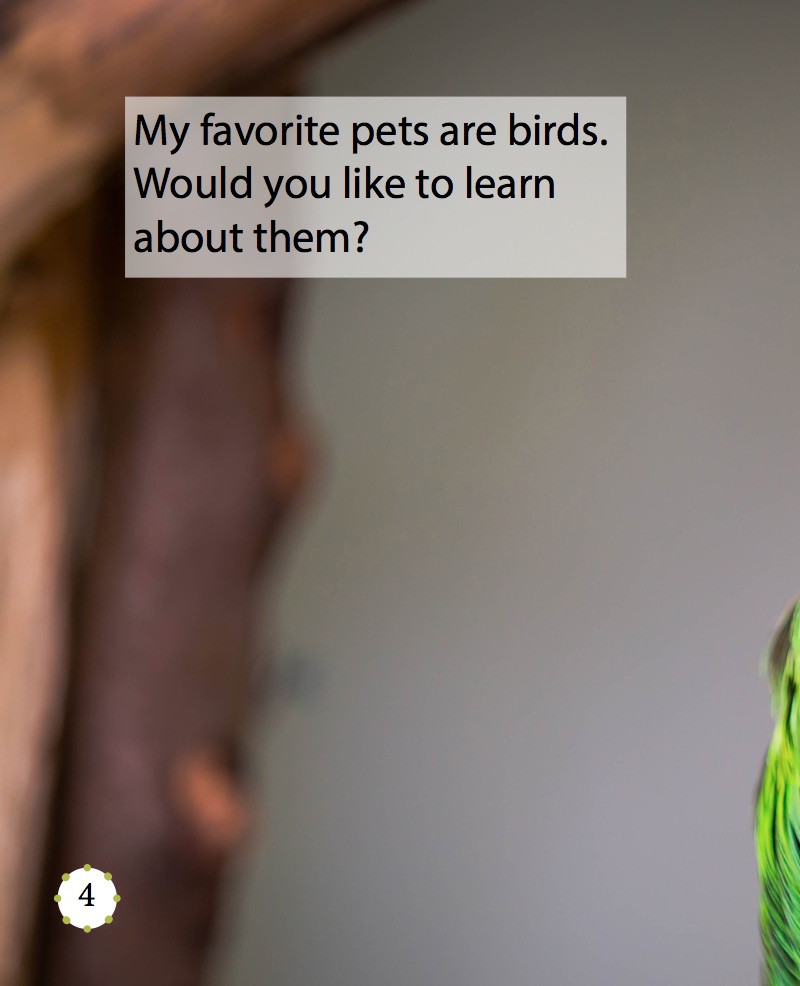 My Favorite Pet: Birds — page 1