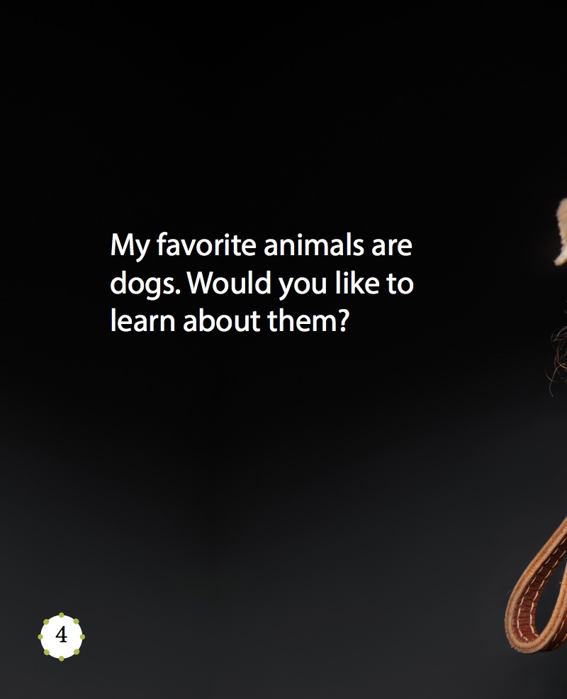 My Favorite Pet: Dogs — page 1