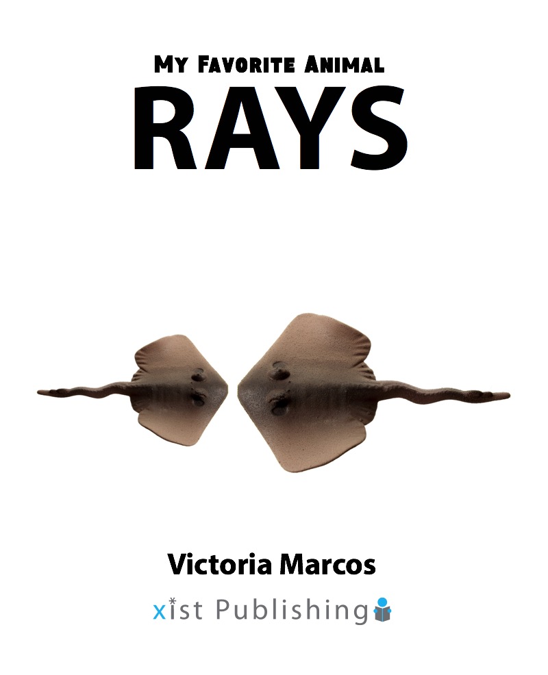 My Favorite Animal: Rays book cover