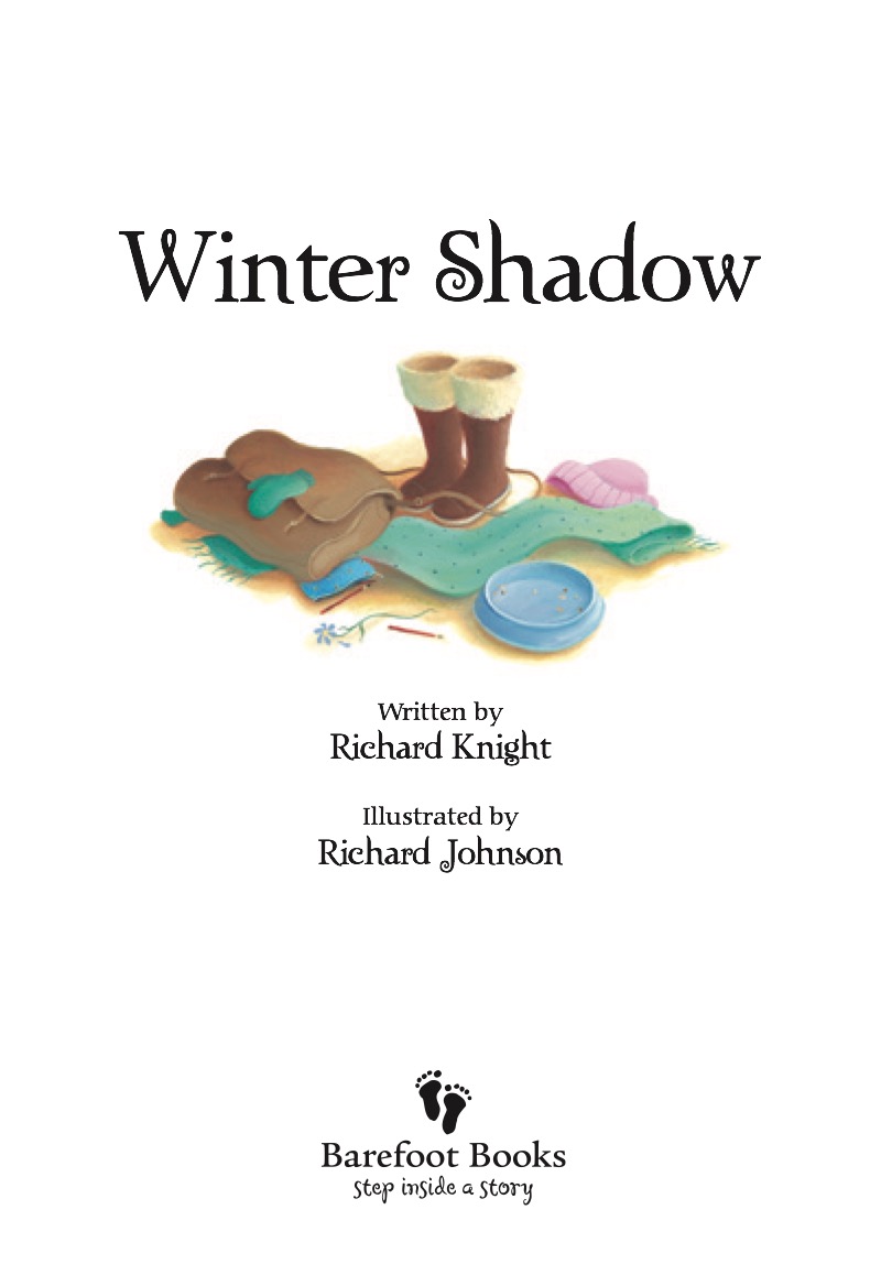 Winter Shadow book cover