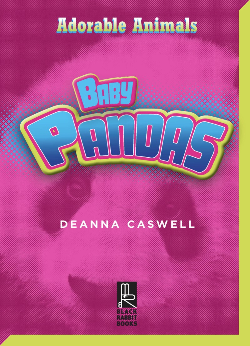 Baby Pandas book cover