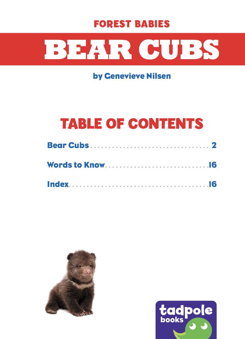 Bear Cubs book cover