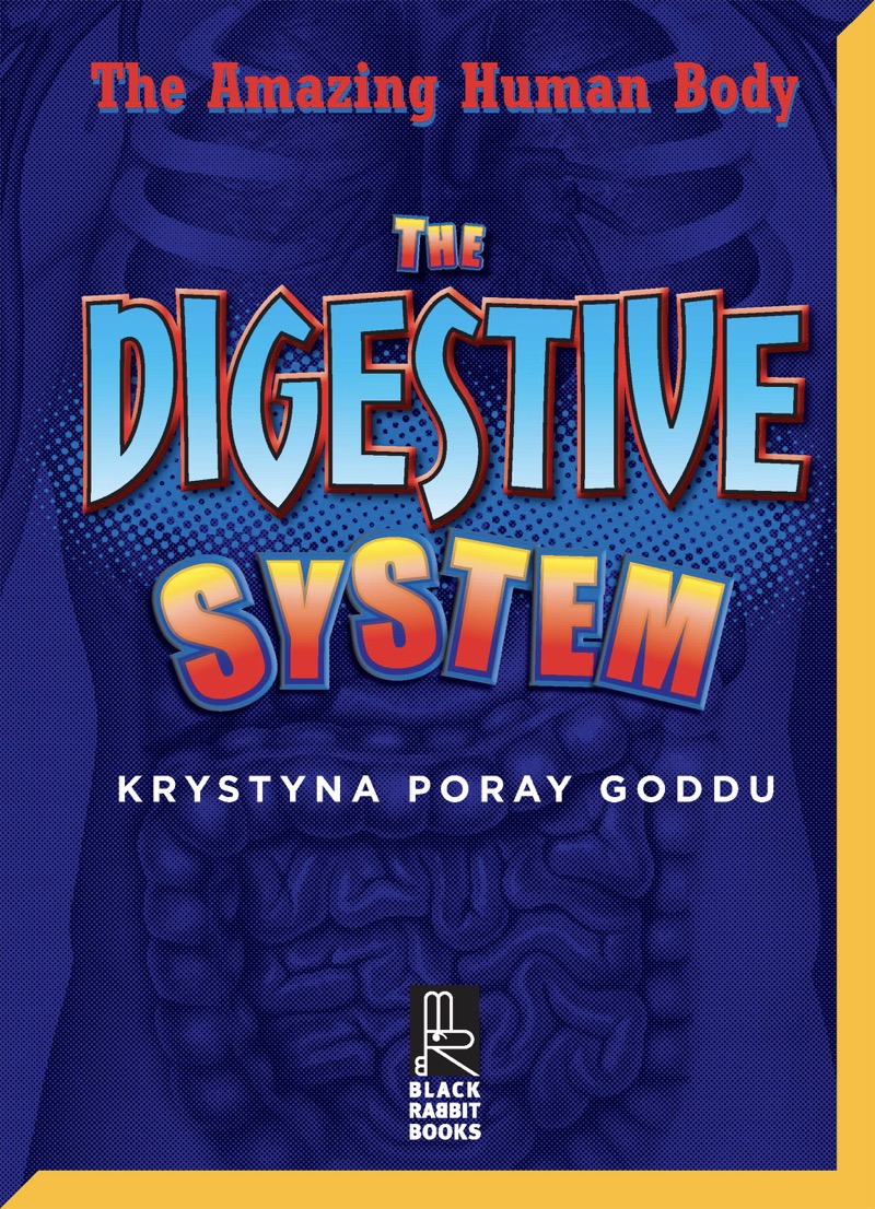 The Digestive System book cover