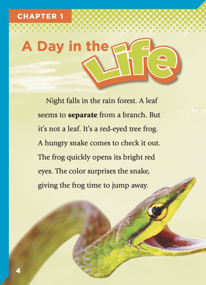 Red-Eyed Tree Frogs — page 1