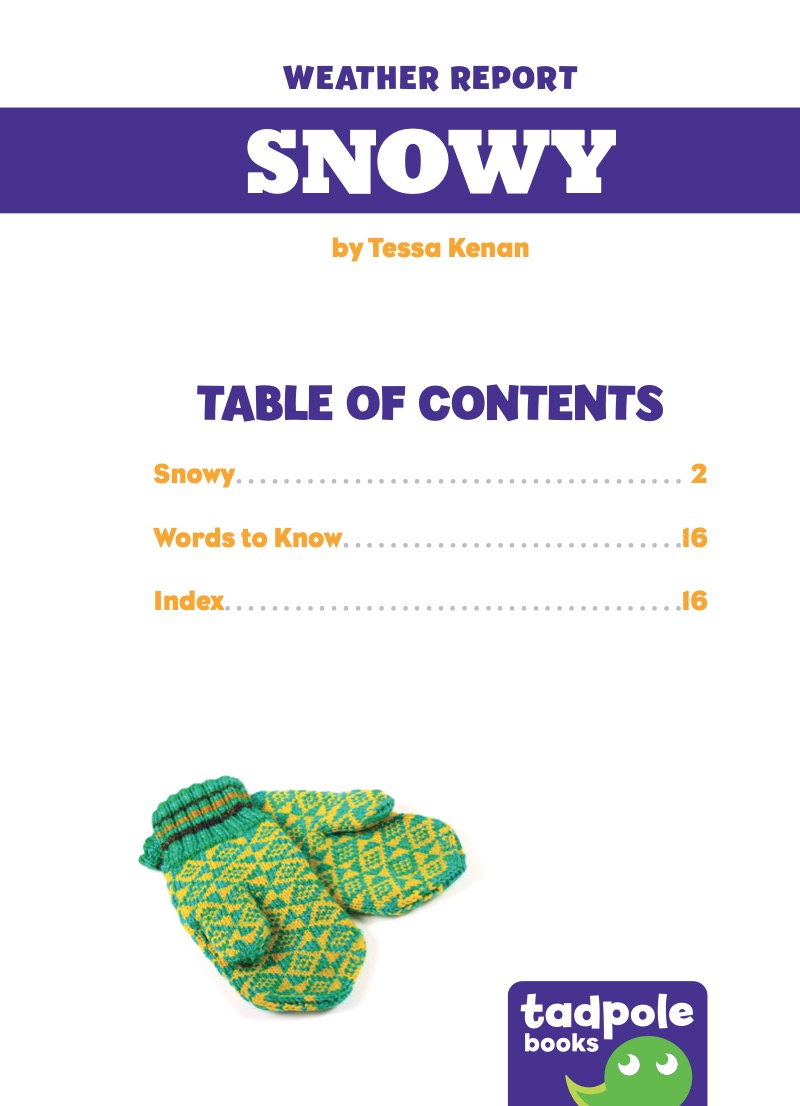 Snowy book cover
