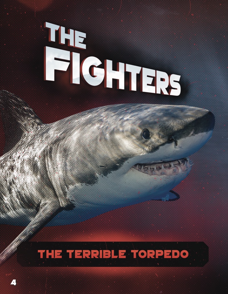 Great White vs. Killer Whale — page 1