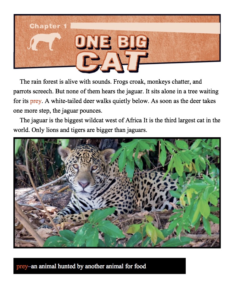 Jaguars — page 1