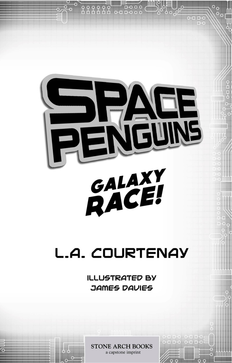 Space Penguins Galaxy Race! book cover