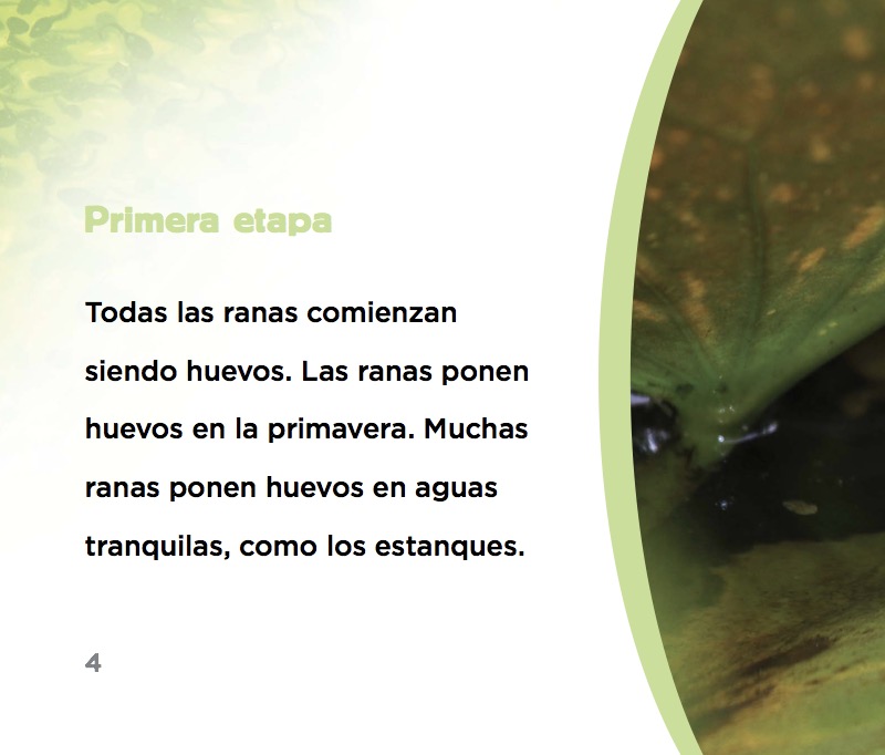 De huevo a rana — page 1