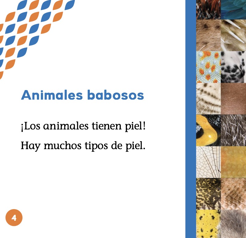 Animales babosos — page 1