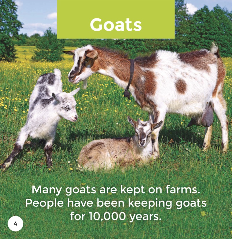 Goats — page 1
