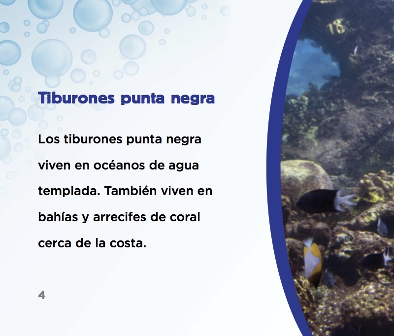 Tiburones punta negra — page 1