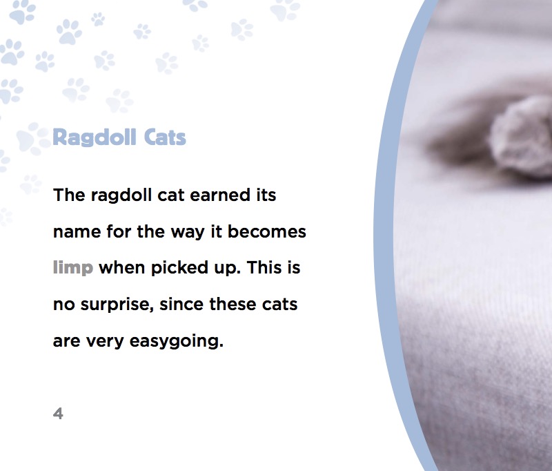 Ragdoll Cats — page 1