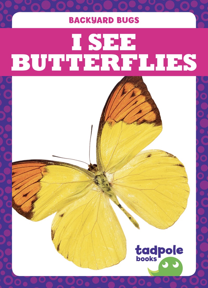 I See Butterflies book cover