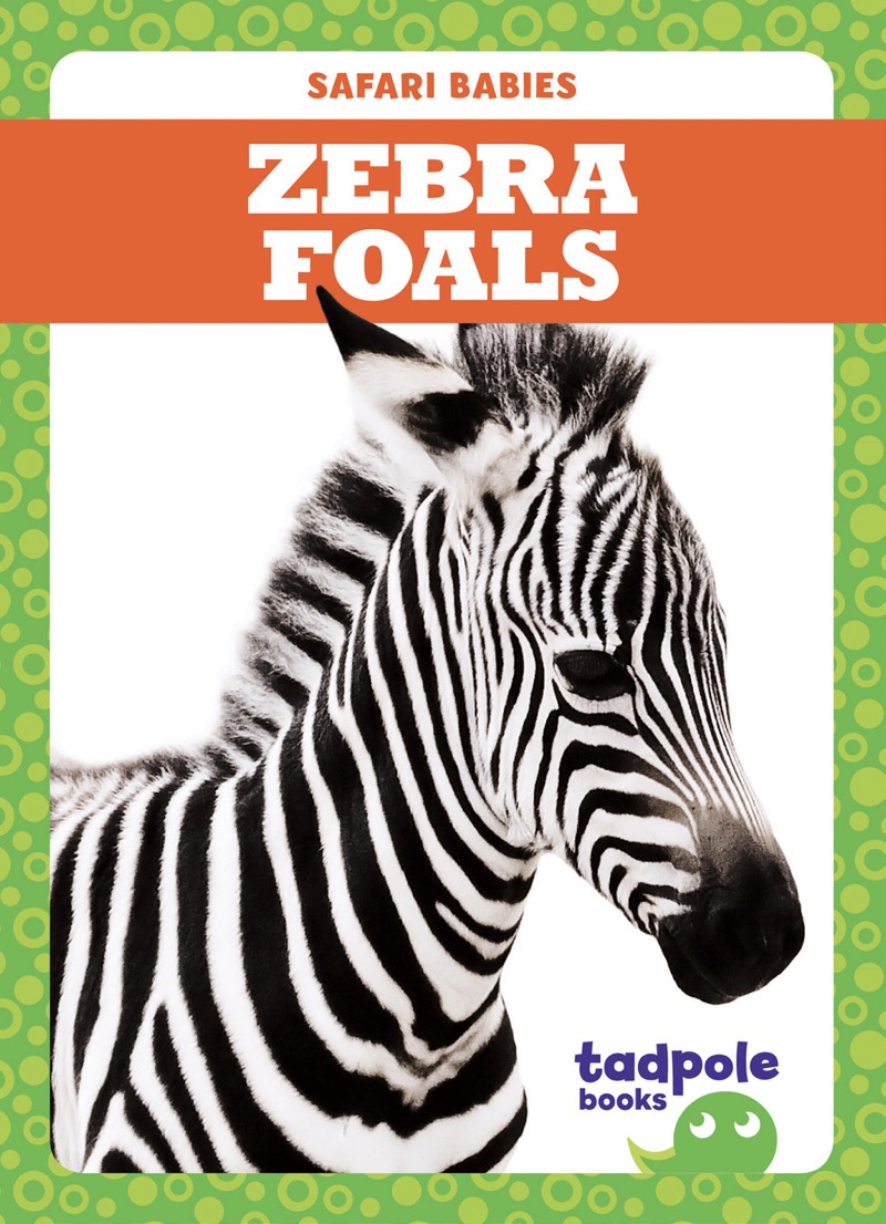 Zebra Foals book cover