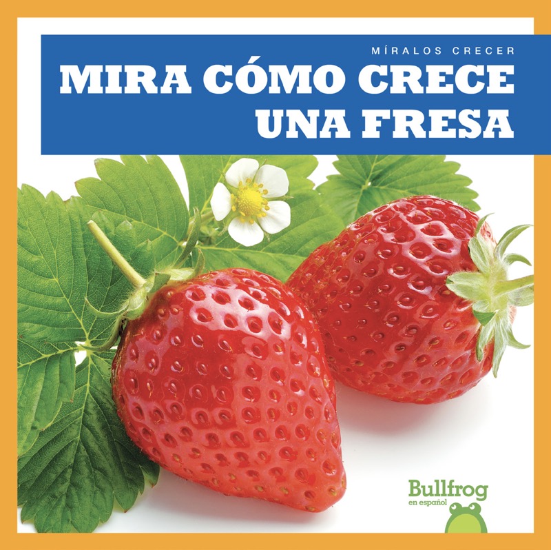 Mira cómo crece una fresa (Watch a Strawberry Grow) book cover