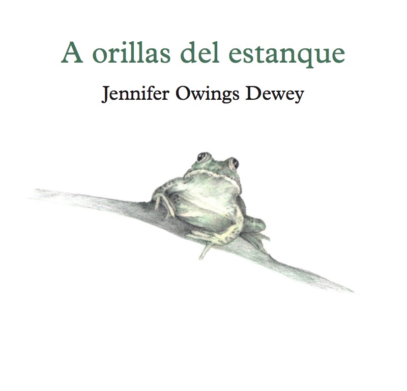 A orillas del estanque book cover