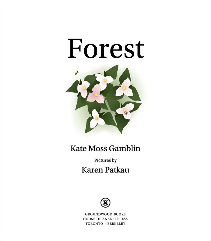 See to Learn: Forest book cover