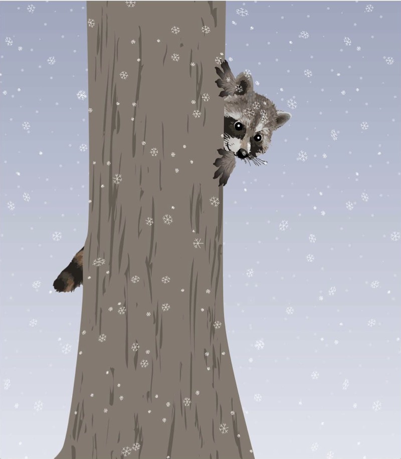 See to Learn: Forest — page 1