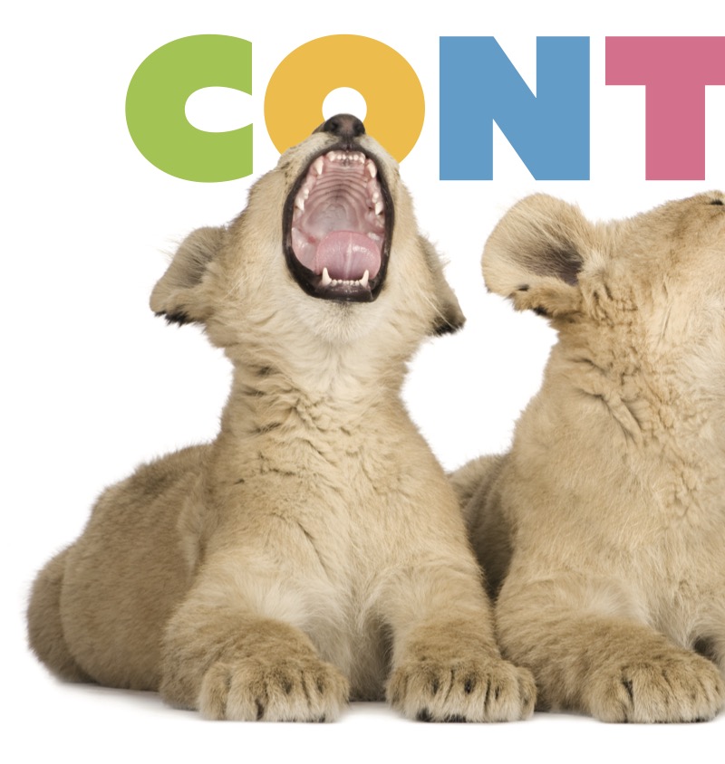 Starting Out: Baby Lions — page 1
