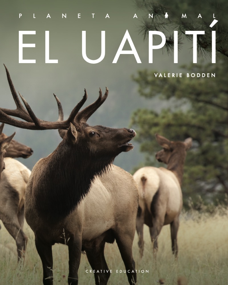 Planeta Animal: El Uapití book cover