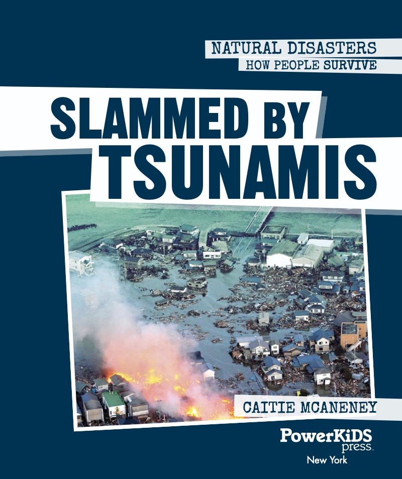 Slammed by Tsunamis book cover
