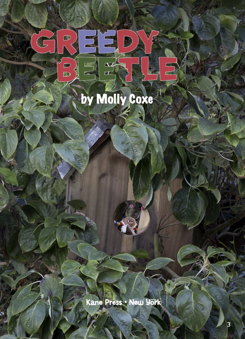 Greedy Beetle book cover