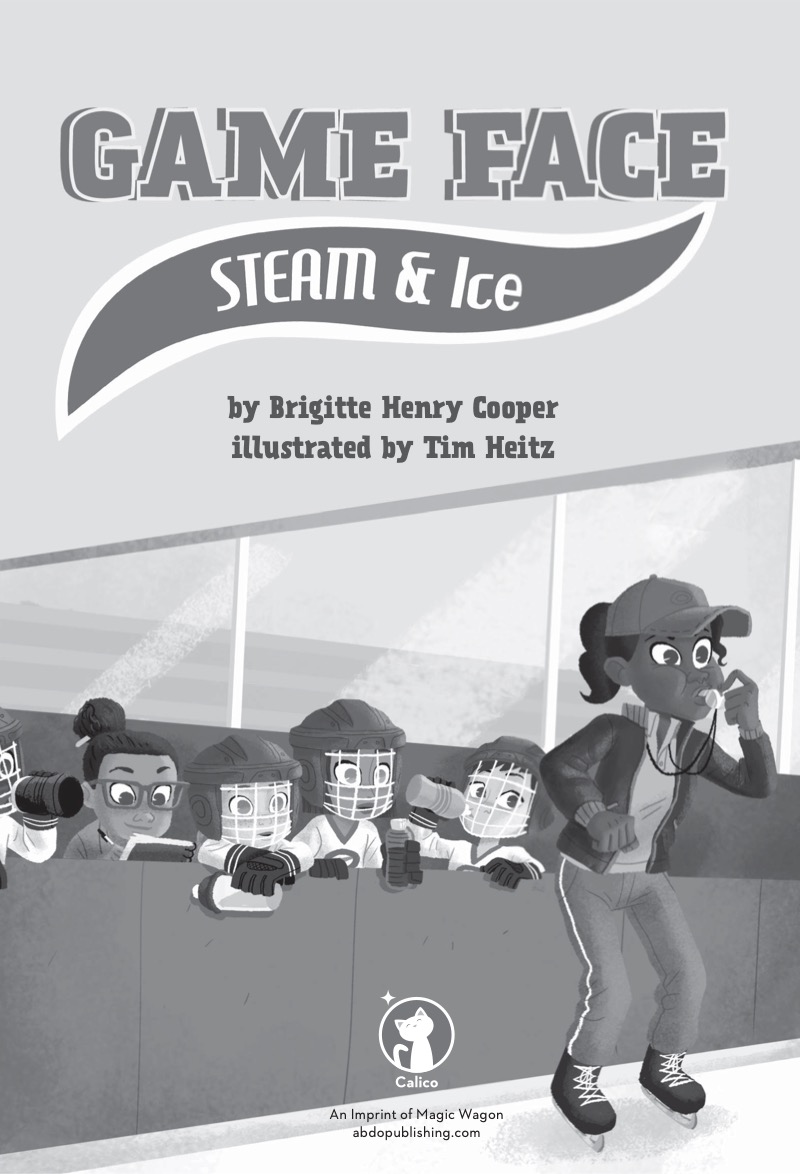 STEAM & Ice book cover