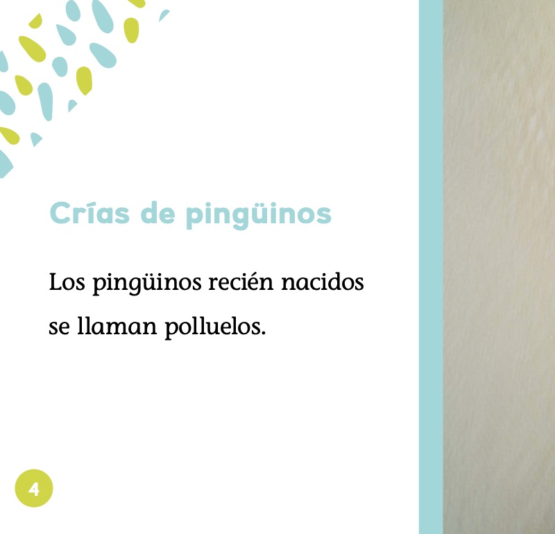 Crías de pingüinos — page 1