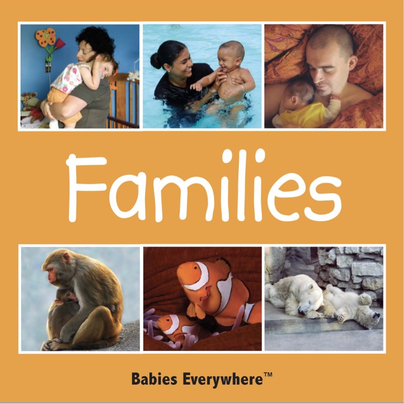 Families book cover