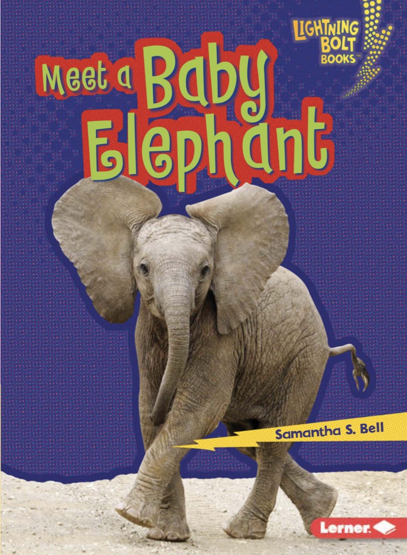 Meet a Baby Elephant book cover