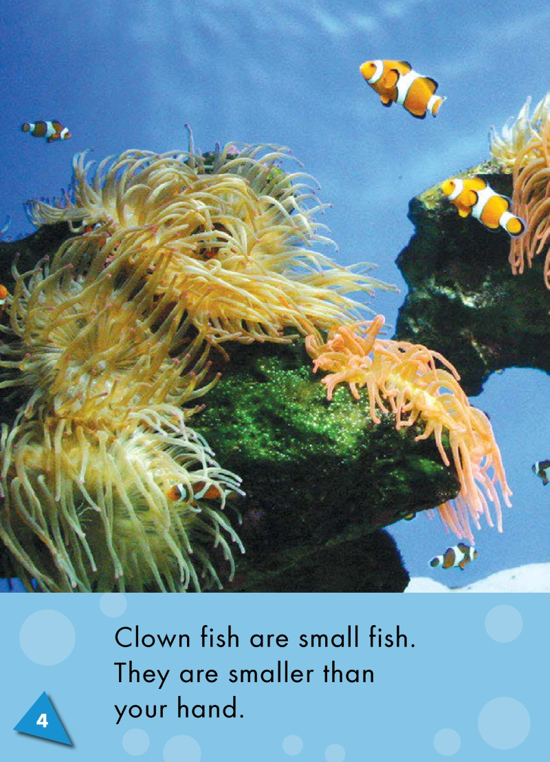 Clown Fish: Oceans Alive — page 1