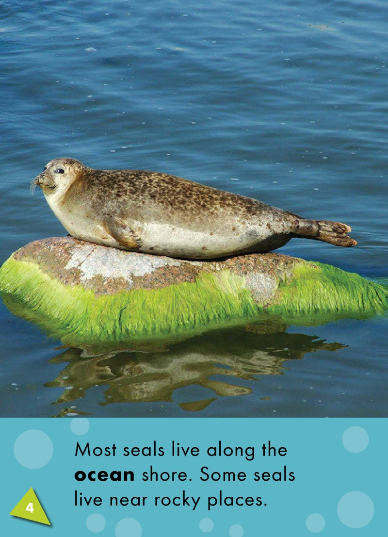 Seals: Oceans Alive — page 1