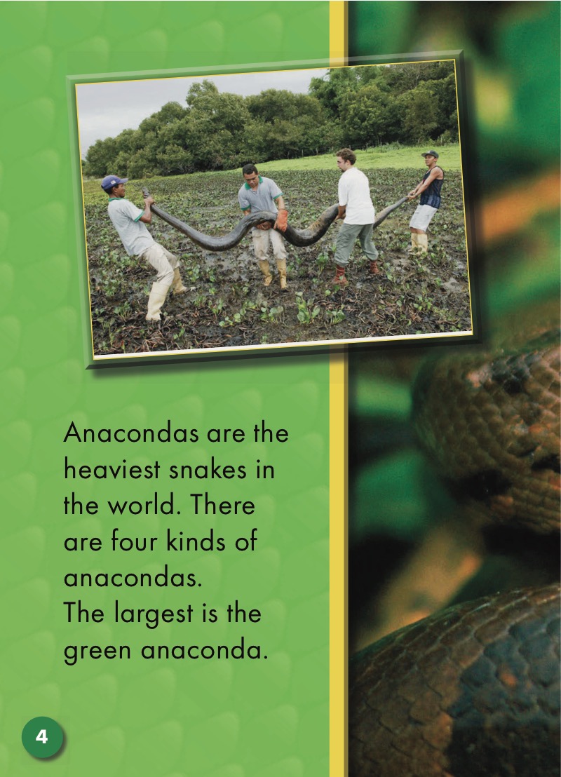 Anacondas: Snakes Alive — page 1
