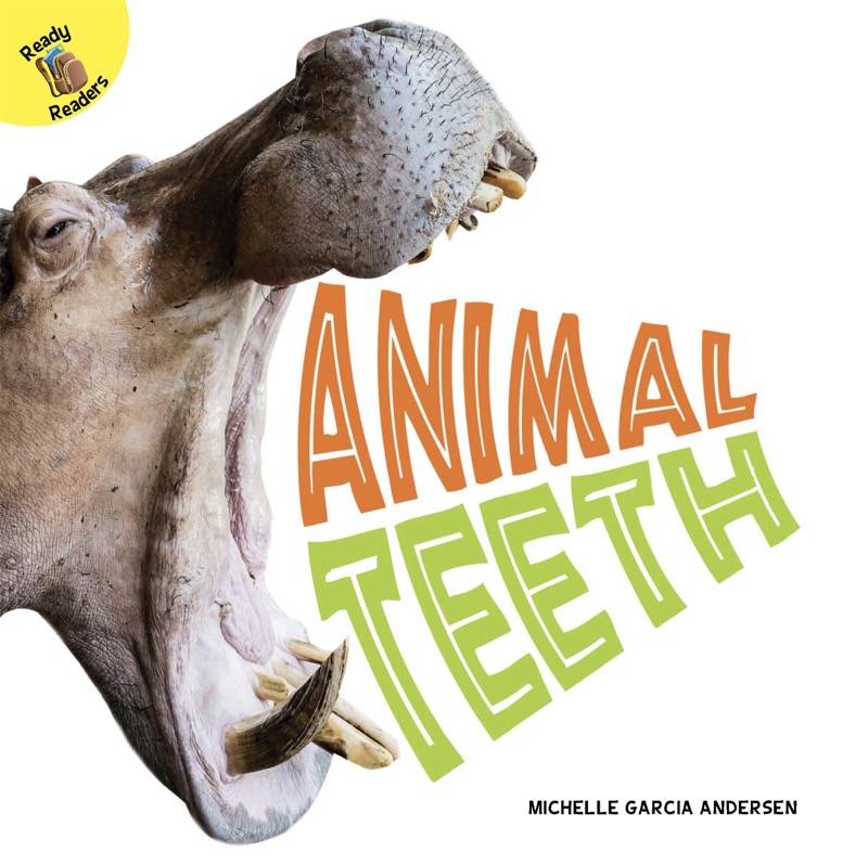 Animal Teeth book cover