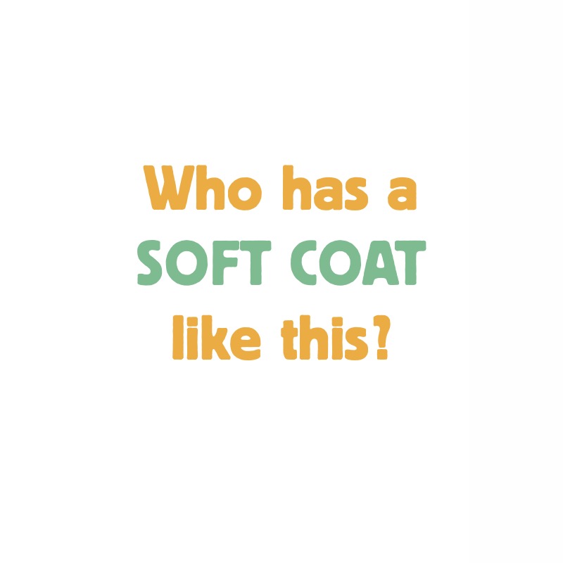 Coats — page 1