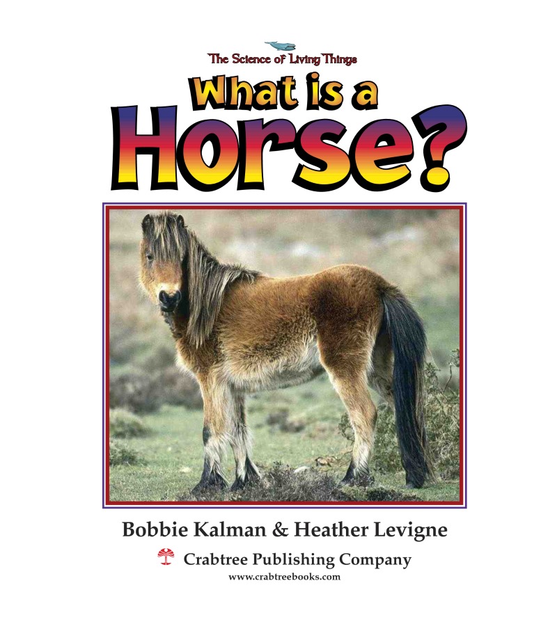 What is a Horse? book cover