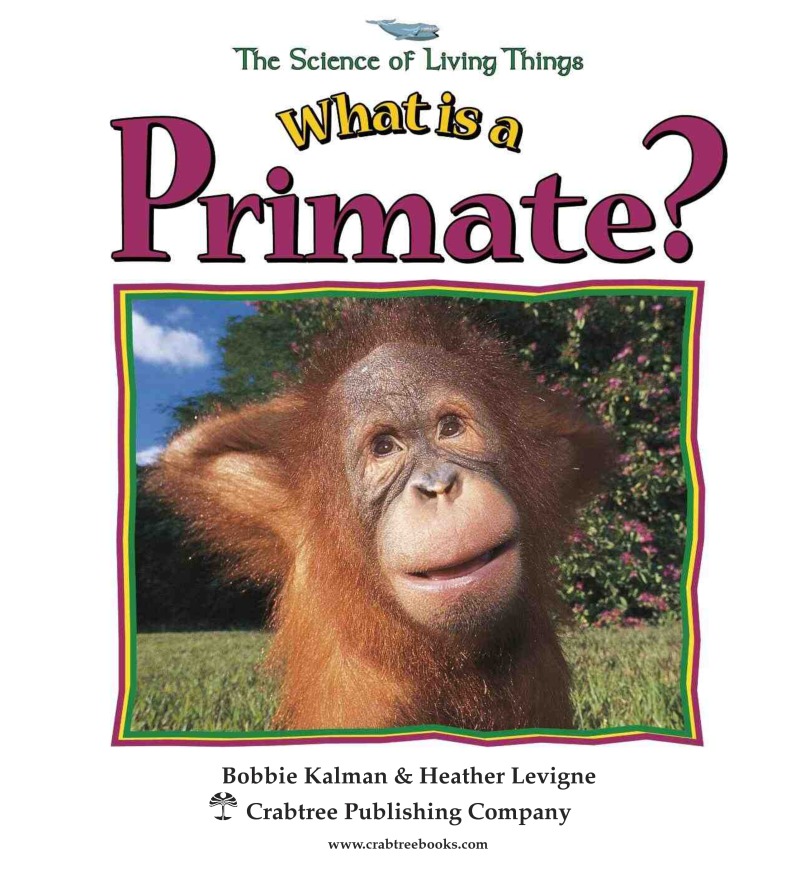 What is a Primate? book cover