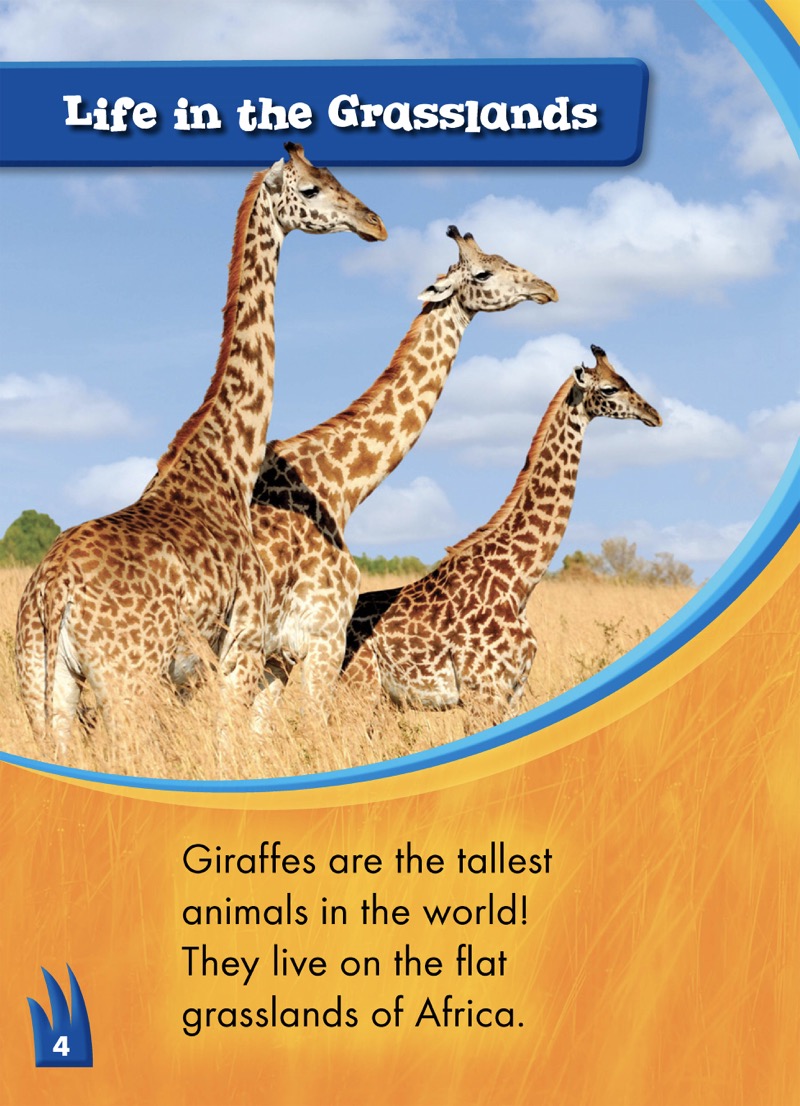 Giraffes — page 1