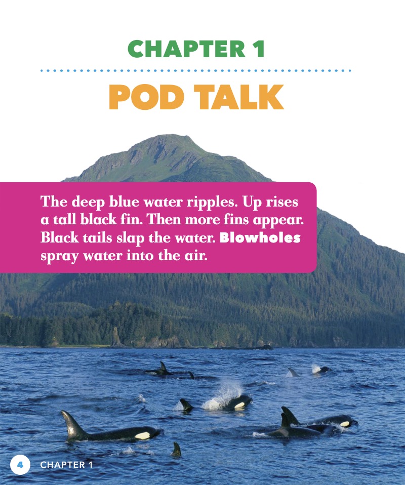 Orca Whales Pods — page 1